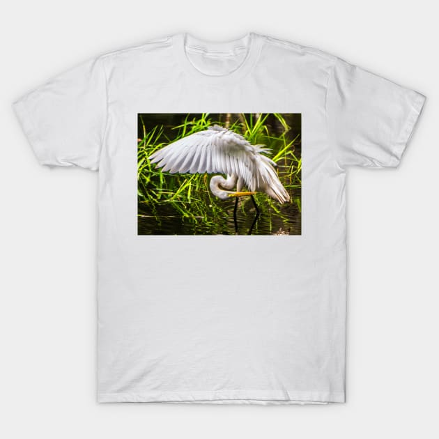 Great White Egret T-Shirt by joesaladino